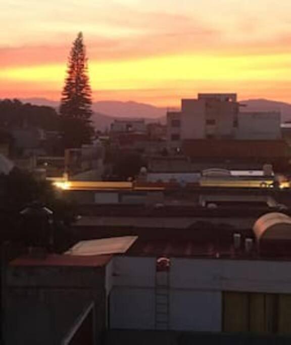 M1010 Agradable Departamento Centrico En Oaxaca Lägenhet Exteriör bild