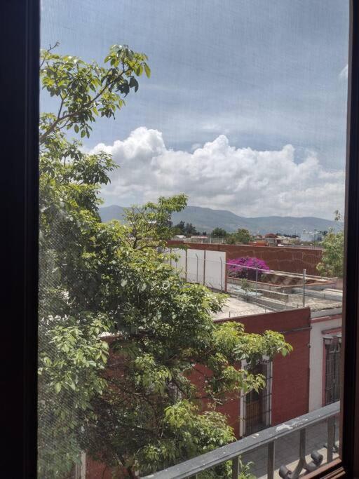 M1010 Agradable Departamento Centrico En Oaxaca Lägenhet Exteriör bild